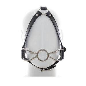 Stainless Steel Yuanbao Mouth Plug Harness Type Restraint