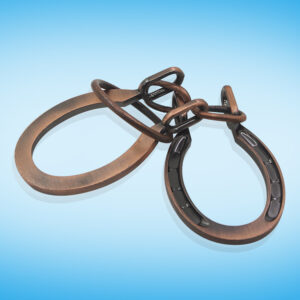 Horse’s hoof and handcuffs