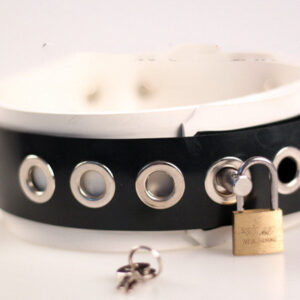 White With Black Rubber Colored Collar