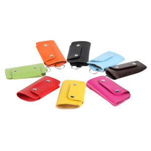 Color button leather key case