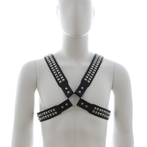 Men’s Bondage Binding Strap Black Leather Multi-Stud