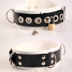 White With Black Rubber Colored Collar